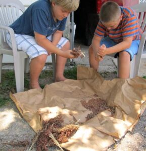 Get Your Sorghum Planted NOW! Image